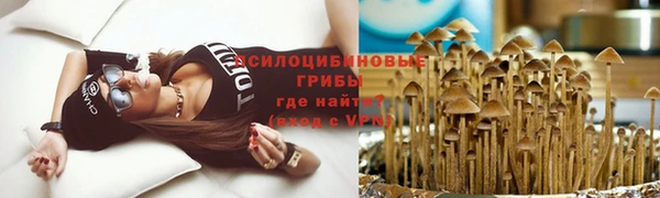 spice Алзамай