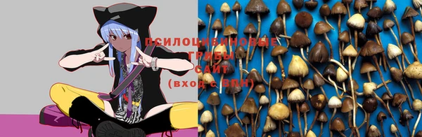spice Алзамай